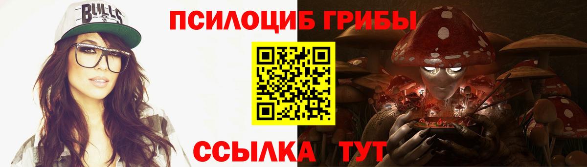 купить наркотики сайты  Галлюциногенные грибы мухоморы  Вход с VPN  Псилоцибиновые грибы Psilocybe  Унеча 